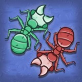 蚂蚁进化大猎杀V1.0